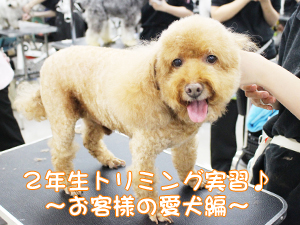 ☆カメラ目線特集☆